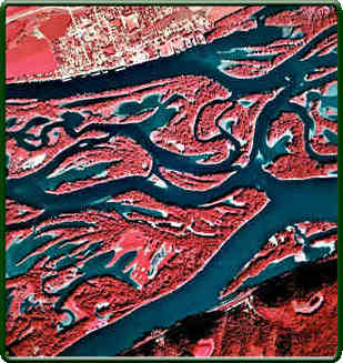 False- Color Infrared Image of the Mississippi River Near Harper's Ferry, Iowa  -Showing the complex mosaic of aquatic and terrestrial habitats that are typical of the Upper Mississippi River system.