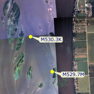 site location