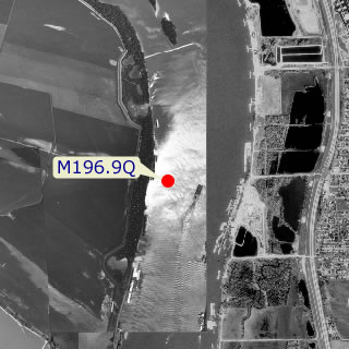 site graphic