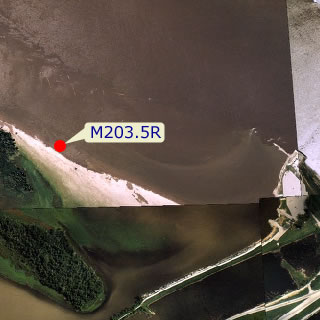 site graphic