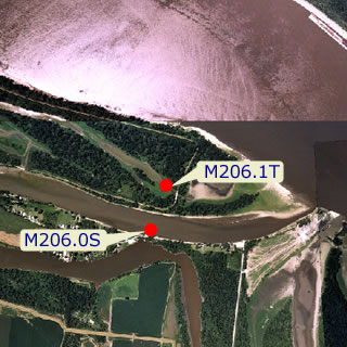 site graphic