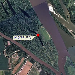 site graphic