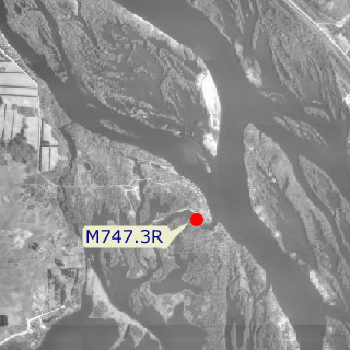 site graphic