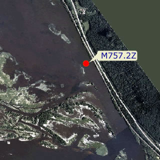 site graphic