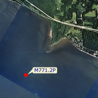 site graphic