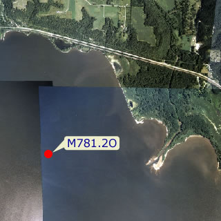 site graphic