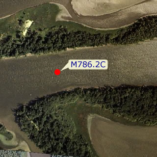 site graphic