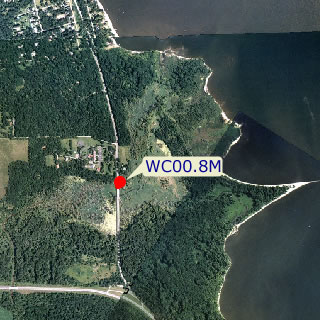 site graphic
