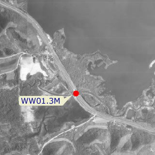 site graphic