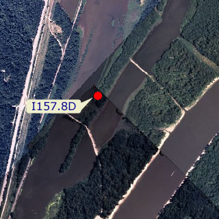 site graphic