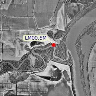 site graphic