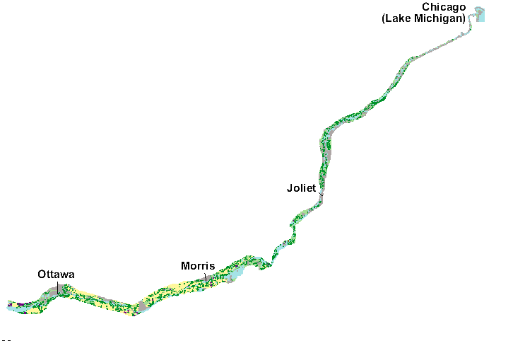 Illinois River Geomorphic Reach 1