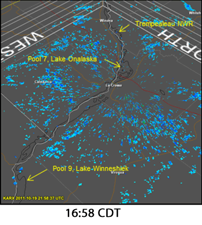 Weather surveillance radar (Nexrad) captures this series of images at 10-minute intervals of waterfowl taking flight in response to a boating disturbance within the Lake Onalaska Voluntary Waterfowl Avoidance Area on 19 October 2011.&nbsp;Boaters entered and disturbed an estimated 10,000 waterbirds beginning at 17:02 CDT.&nbsp;Flying waterfowl are differentiated from clutter and circled in red.&nbsp;The overall pattern indicates that birds likely moved from Lake Onalaska south to Winneshiek Lake, Pool 9, or northwest to Trempealeau National Wildlife Refuge, Pool 6.&nbsp;