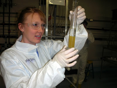 USGS Scientist in laboratory with fish eggs