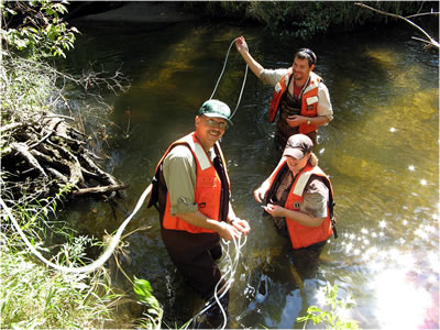 Technical assistance in support of Sea Lamprey Control Program