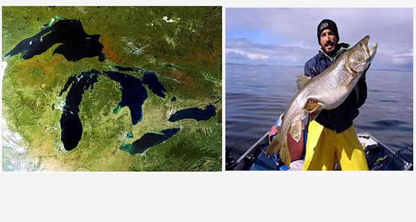 UMESC scientists focus efforts on controlling Asian carp, investigating contaminant and botulism effects on birds, and understanding ecology of tributaries in support of the Great Lakes Restoration Initiative.