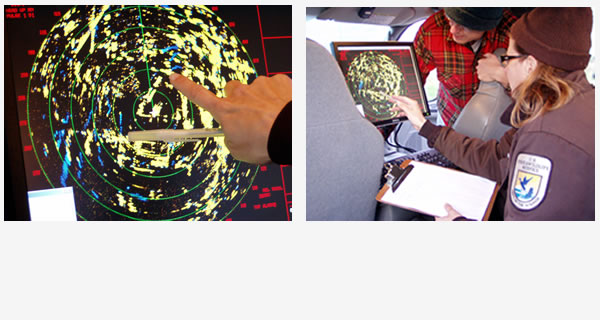 Scientists are developing a three-dimensional model to assess wind energy impacts to crane populations at Horicon National Wildlife Refuge in Wisconsin.