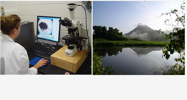 Aquatic Toxicology: Scientists determine the risks human and veterinary-use compounds pose to aquatic systems.