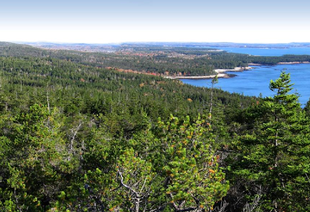 View from Schoodic Head, Acadia National Park