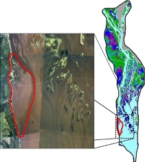 Figure 1: Western shoreline of the impounded area of Pool 8 (click for larger image)