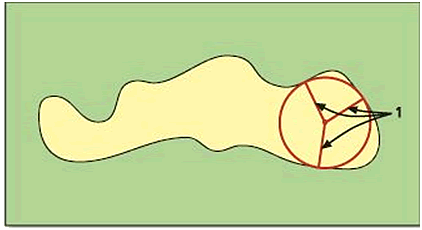 Basic Raster Landscape Metrics Tools image 1