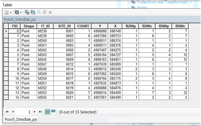 Moving Window Point Analysis Tool graphic