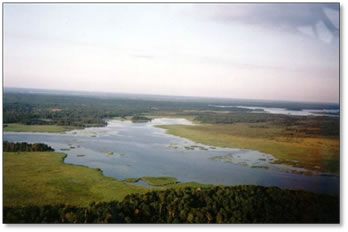 National Park Service Vegetation Inventory Program