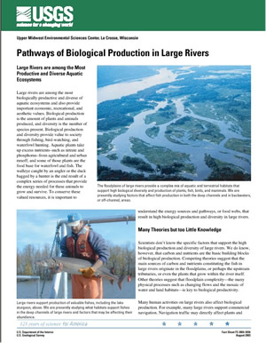 Pathways of Biological Production in Large Rivers