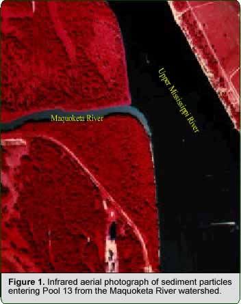 Figure 1. Infrared aerial photograph of sediment particles entering Pool 13 from the Maquoketa River watershed.