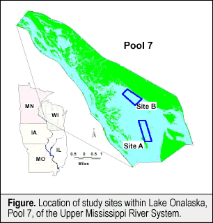 Figure. Location of study sites within Lake Onalaska, Pool 7, of the Upper Mississippi River System.