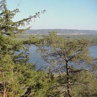 Effigy Mounds National Monument - Red Cedar