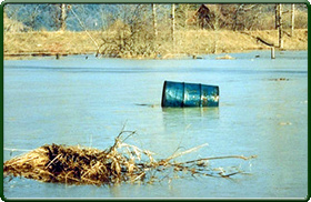 Impacted environmentally sensitive area