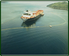 Valdez oil spill