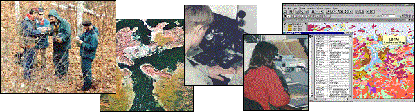 Example of vegetation map in GIS (click for larger scale)