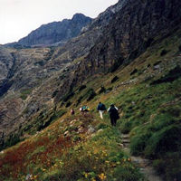 Swiftcurrent trail - Glacier NP