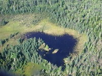 breeding pond in Voyageur's National Park