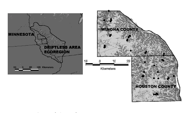 Field Season 2000 Report