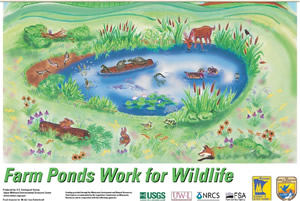 Farm Ponds for Wildlife