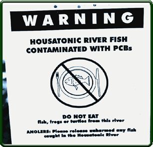 Sections of the Housatonic River have been contaminated with PCBs.