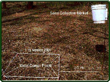 Site survey