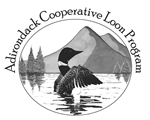 Adirondack Cooperative Loon Program
