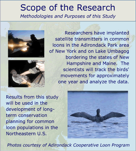 Scope of the Research