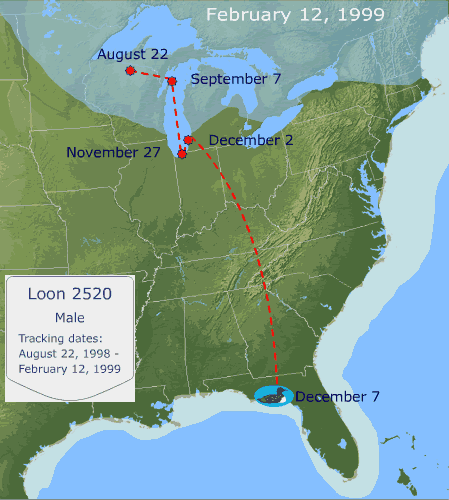 Flight path of Loon 2520