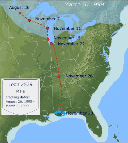 Flight path of Loon 2539