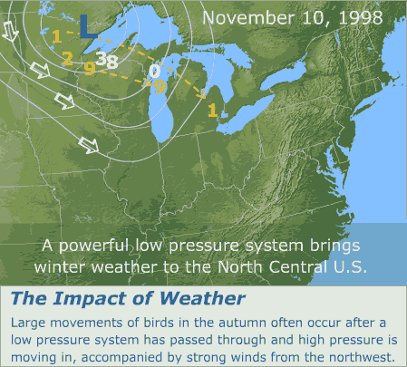 The impact of weather on loon migrations