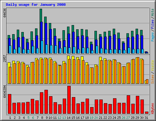 Daily usage for January 2008