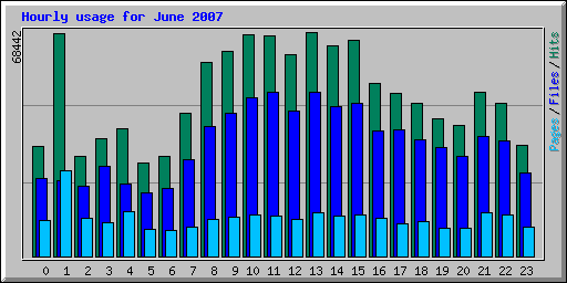 Hourly usage for June 2007