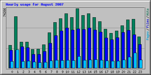 Hourly usage for August 2007