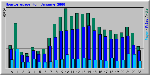 Hourly usage for January 2008