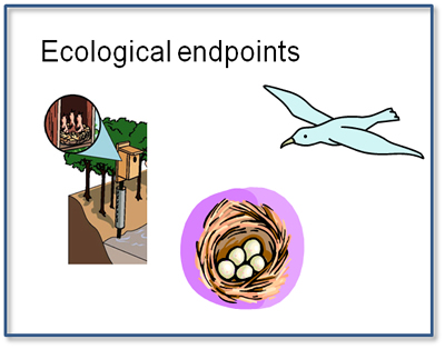 Ecological endpoints
